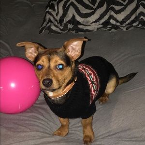 Meet your Posher, Garrett